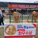 예천한우 이미지