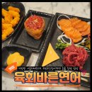 잠실나루 연어 육회바른연어 잠실점 / 잠실홈플러스 앞 나혼자세트로 혼술한상