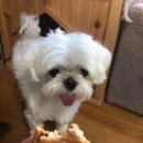 윤김밥 이미지
