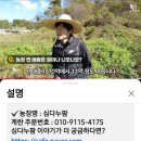 심다누팜 이미지