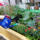 경일약국 이미지