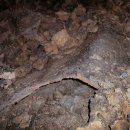 제주 한림 용암동굴지대 이미지