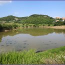 팔용당저수지 이미지