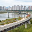 연기면 금강보행교 북측(우) | 세종 금강보행교 세종시 이응다리 국내최장보행교 + 주차 , 킥보드 , 자전거 대여 정보