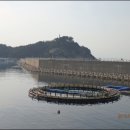 수산항요트마리나 이미지