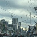 시장전집 | 📍대전 전집 도마동 춘향전 도마시장 깔끔한 전집 솔직후기