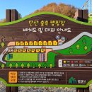 문경 단산 숲속 캠핑장 이미지