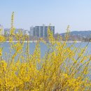 서호공원 이미지