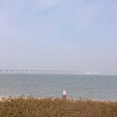 예당비빔국수 이미지