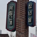 농부네 텃밭 | [춘천여행] 어쩌다농부 농부네 텃밭 먹고 온 후기