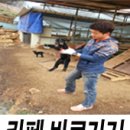 봉화흑염소 이미지