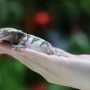 맘스동물의료센터 이미지