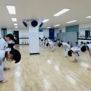 용호태권도체육관 이미지