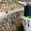 해뜨는집 민박 이미지