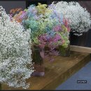 고양 국제 꽃박람회에서/2019. 이미지