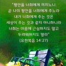 127. 힐링 &amp; 건선 자연 치유식 노트 [109]&#34;완전무결 다이어트의 2주 프로그램&#34; 반 토막 실천 후기