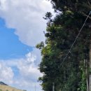 제주타이펜션 이미지