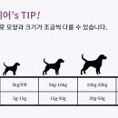 아이펫 이미지