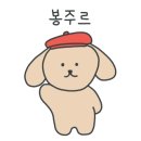 라쎄리즈 이미지