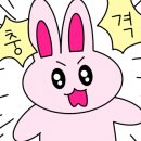 헬로카츠