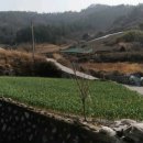 카카오부동산공인중개사사무소 이미지