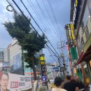 하단피부관리 달리핀 에스테틱 세멘시트