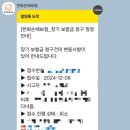 비후성반흔 치료기 내돈내산 솔직후기