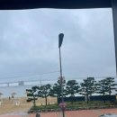 광안리가 | 광안리 바다뷰 카페_광안리가 잘 보이는 [에쏘/내돈내산 솔직후기]