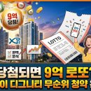 디그니티