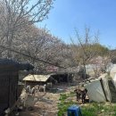 시전농장 이미지