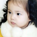 홍이 Daum카페