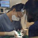 서울수미치과의원 이미지