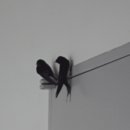 풍년회관 이미지