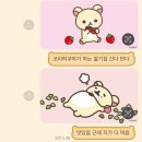 더바램 이미지