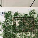 월성떡방앗간 - 경주시 초당길19번길 27 | [맛집] 대구월성동야외술집 월성동 이자카야 달밤어묵 월성직영점