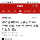 [기사] 장윤정 '짠짜라'3만명 떼창... 이미지