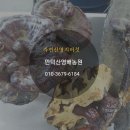 데미샘꿈그린 이미지