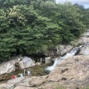 천궁산장식당