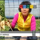 단비네가게 이미지