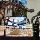 목포자연사박물관 이미지