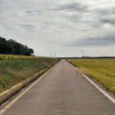 평촌마을회관 이미지