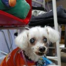 신일산동물병원 이미지