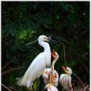 엄마밥줘 이미지