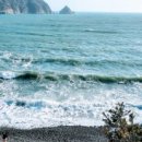 몰운대 등산로 입구 이미지