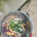 산과물과별