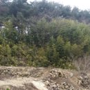 진흥농산 이미지