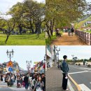 한국후지필름필름한잔롯데시네마 - 수원시 권선구 세화로 134 | 경주 황리단길 가볼만한곳 인스탁스와 5월 여행 놀거리 코스