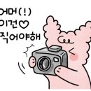 예향정제주 이미지