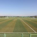 을숙도 풋살경기장 이미지