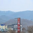 원주 오크밸리 렌탈샵 캐나다SAM 인라인스키 장비대여 및 스키강습 찐 후기
